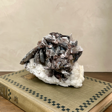 Load image into Gallery viewer, Mica &amp; Clevelandite Cluster