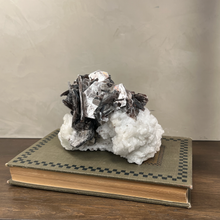 Load image into Gallery viewer, Mica &amp; Clevelandite Cluster