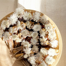 Load image into Gallery viewer, Solstice Moon Palo Santo Bundle