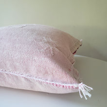 Load image into Gallery viewer, Soft Pink Sabra Silk Pillow