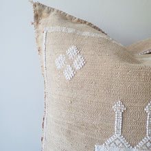 Load image into Gallery viewer, Desert Sand Sabra Silk Pillow