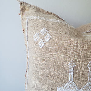 Desert Sand Sabra Silk Pillow