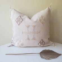 Load image into Gallery viewer, Blush Pink Sabra Silk Pillow