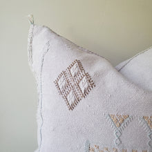 Load image into Gallery viewer, Blush Pink Sabra Silk Pillow