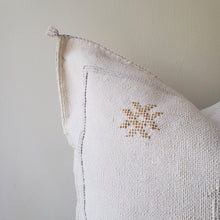 Load image into Gallery viewer, Dreamy White Sabra Silk Pillow