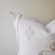 Load image into Gallery viewer, Festive White Sabra Silk Pillow Cover