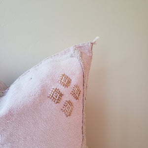 Dreamy Pink Sabra Silk Pillow