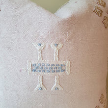 Load image into Gallery viewer, Dreamy Pink Sabra Silk Pillow