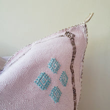 Load image into Gallery viewer, Light Pink Sabra Silk Pillow