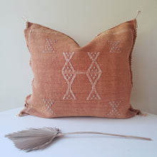 Load image into Gallery viewer, Caramel Terracotta Sabra Silk Pillow