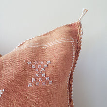 Load image into Gallery viewer, Caramel Terracotta Sabra Silk Pillow
