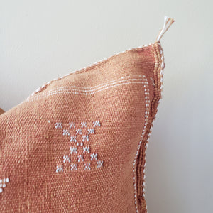 Caramel Terracotta Sabra Silk Pillow
