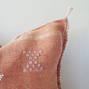 Caramel Terracotta Sabra Silk Pillow