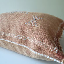 Load image into Gallery viewer, Caramel Terracotta Sabra Silk Pillow