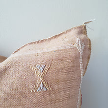 Load image into Gallery viewer, Tangerine Mustard Sabra Silk Pillow