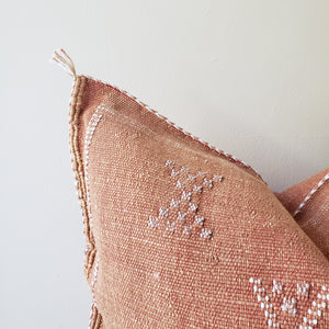 Terracotta Sabra Silk Pillow