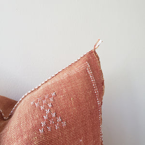 Terracotta Sabra Silk Pillow