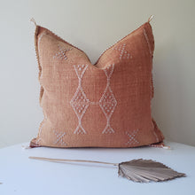 Load image into Gallery viewer, Terracotta Sabra Silk Pillow