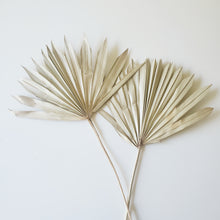 Load image into Gallery viewer, Sun Cut Dried Palm Leaves